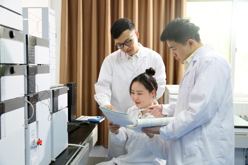 酶制剂:生物技术的隐形英雄