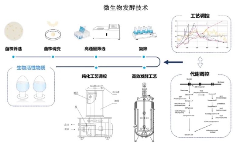 微生物菌剂的崛起:行业动态观察