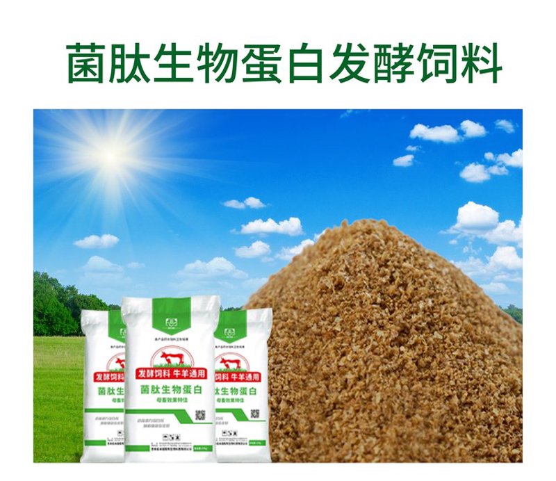 生物技术:开启未来之门的金钥匙