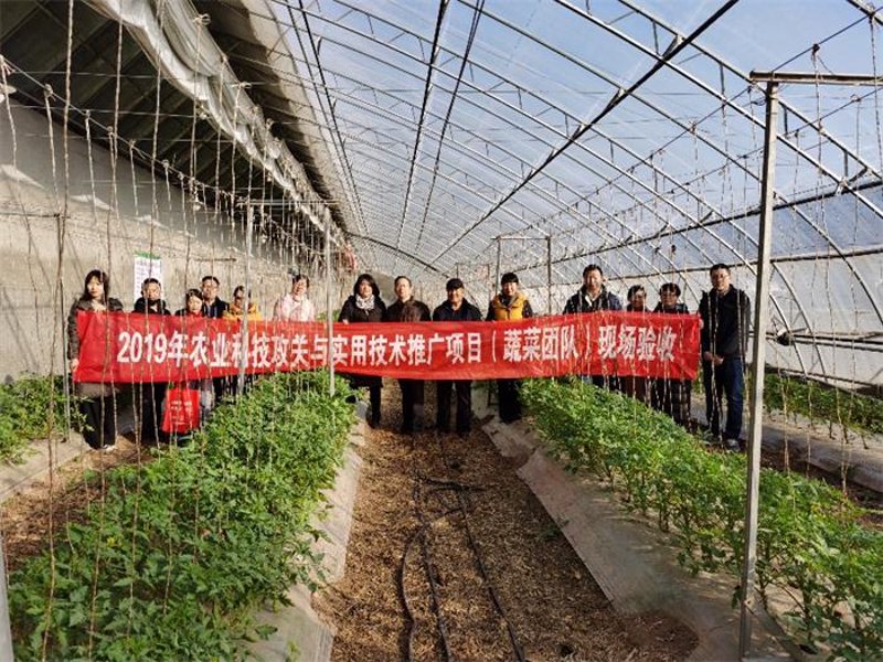 生物技术:新生命的守护者