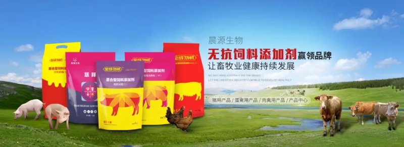 生物医药行业:未来科技的前沿阵地