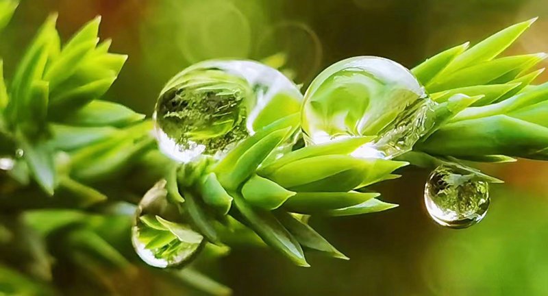 生物科技研发:开启生命科学新纪元